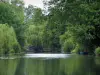 Landscapes of the Indre-et-Loire - Indrois river and trees along the water, in the Indrois valley