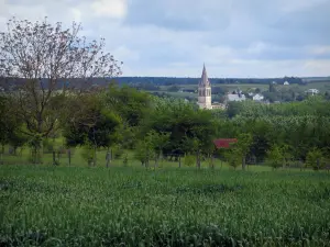 Landscapes of the Indre-et-Loire - Corns field, trees, church bell tower and cloudy sky