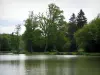 Landscapes of the Indre-et-Loire - River and trees along the water
