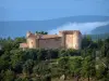Landscapes of the inland Var - Castle surrounded by trees and hills covered with forests