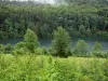 Landscapes of Jura - Vernois lake, trees, shrubs and forest