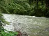 Landscapes of Jura - River, trees along the water