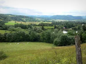 Landscapes of Jura - Wild flowers, meadows, trees, lake and hills in background