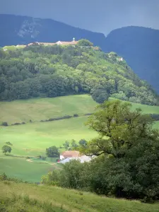 Landscapes of Jura - Meadows, hills, roofs of houses and trees