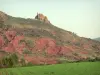 Landscapes of Languedoc - Field, red cliff and shrubs