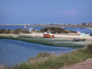 Landscapes of Languedoc - Lake and small boats