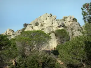 Landscapes of Languedoc - Cliff and shrubs