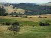 Landscapes of Loire - Trees and meadows of Forez