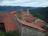 Landscapes of Loire - Roofs of houses with view of hills