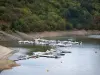 Landscapes of Loire - Loire river, marina, bank and trees