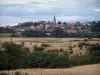 Landscapes of Loire - Village surrounded by trees and meadows