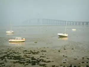 Landscapes of the Loire-Atlantique coast - Boats at ebb tide, algae and the Saint-Nazaire bridge