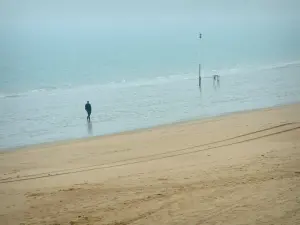 Landscapes of the Loire-Atlantique coast - Sandy beach, walker and the sea (Atlantic Ocean) in La Baule