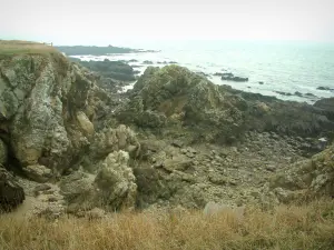 Landscapes of the Loire-Atlantique coast - Wild coast (côte sauvage): grass, cliffs and the sea (Atlantic Ocean)