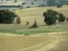 Landscapes of the Lot-et-Garonne - Succession of fields