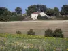 Landscapes of the Lot-et-Garonne - Blooming sunflowers, field, house and trees