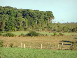 Landscapes of the Meuse - Meadows at the edge of the forest