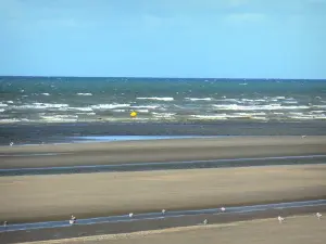 Landscapes of the Nord - Opal Coast: sandy beach, gulls and the North Sea