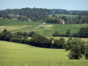 Landscapes of the Orne - Mix of fields and trees