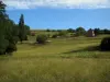 Landscapes of Périgord - Meadows, hut and trees