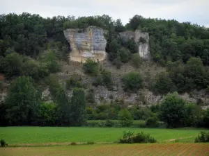 Landscapes of Périgord - Cliff, trees and fields, in the Vézère valley