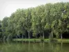 Landscapes of Picardy - Pond lined with trees in Péronne