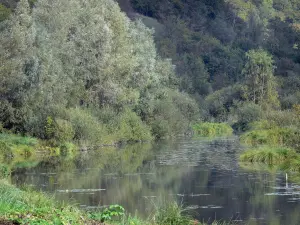 Landscapes of Picardy - Pond of upper Somme, vegetation and trees