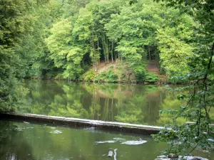 Landscapes of Picardy - Blangy lake and trees in the Hirson forest