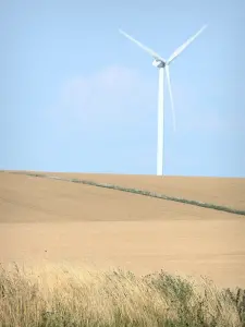 Landscapes of Picardy - Wind turbin dominating a field