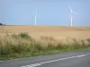 Landscapes of Picardy - Road, wildflowers, fields and wind turbins