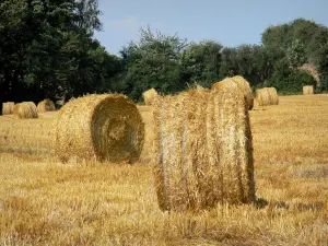 Landscapes of Picardy - Straw bales in a field