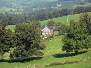 Landscapes of the Puy-de-Dôme - Auvergne Volcanic Regional Nature Park: farmhouse surrounded by trees and pasture