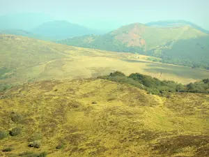 Landscapes of the Puy-de-Dôme - Auvergne Volcanic Regional Nature Park: Puys mountains (monts Dôme range)