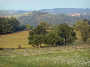 Landscapes of the Puy-de-Dôme - Prairie flowers, trees and houses in a village