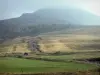 Landscapes of the Puy-de-Dôme - Auvergne Volcanic Regional Nature Park: path lined with grass, in the Massif du Sancy mountains (Monts Dore)