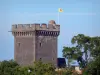 Landscapes of the Puy-de-Dôme - Keep of the Châteauguay castle