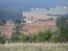 Landscapes of the Puy-de-Dôme - Fields, trees and houses