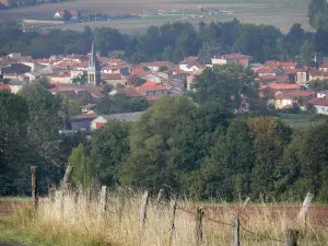 Landscapes of the Puy-de-Dôme - Fence of a field, trees and village