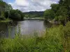 Landscapes of the Quercy - High flora and wild flowers in foreground, Dordogne River, trees along the water and clouds in the sky