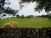Landscapes of the Quercy - Branches of trees, low stone wall and field with straw bales
