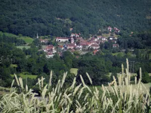 Landscapes of the Quercy - Ears in foreground with view of the houses of a village, trees and forest