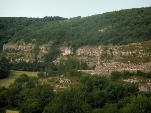 Landscapes of the Quercy - Cliff and trees