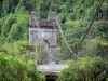 Landscapes of Réunion - Suspension bridge over River Est, in Sainte-Rose, in a green setting