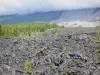 Landscapes of Réunion - Lava road - Réunion National Park: volcanic flow of the Piton de la Fournaise peak, vegetation of Grand Brûlé and Grandes Pentes