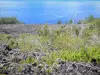 Landscapes of Réunion - Lava road - National Réunion Park: volcanic flow overlooking the Indian Ocean