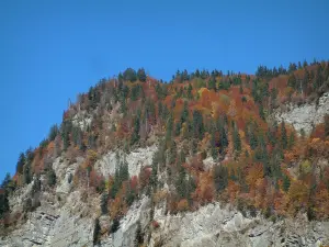 Landscapes of the Savoie in automn - Mountain with trees in autumn
