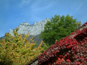 Landscapes of the Savoie in automn - House covered with red ivy (in autumn), trees, forest and cliffs