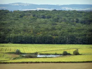 Landscapes of Southern Burgundy - Expanse of water surrounded by fields and forest