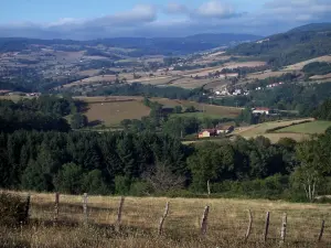 Landscapes of Southern Burgundy - Pastures, fields, trees, villages and hills