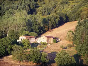 Landscapes of Southern Burgundy - Houses along a forest